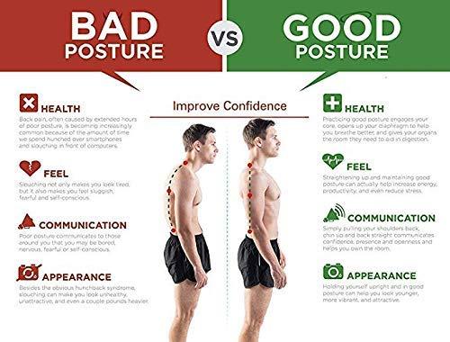 FitPulse Posture™ – SpineAlign Back Support Belt for Men & Women